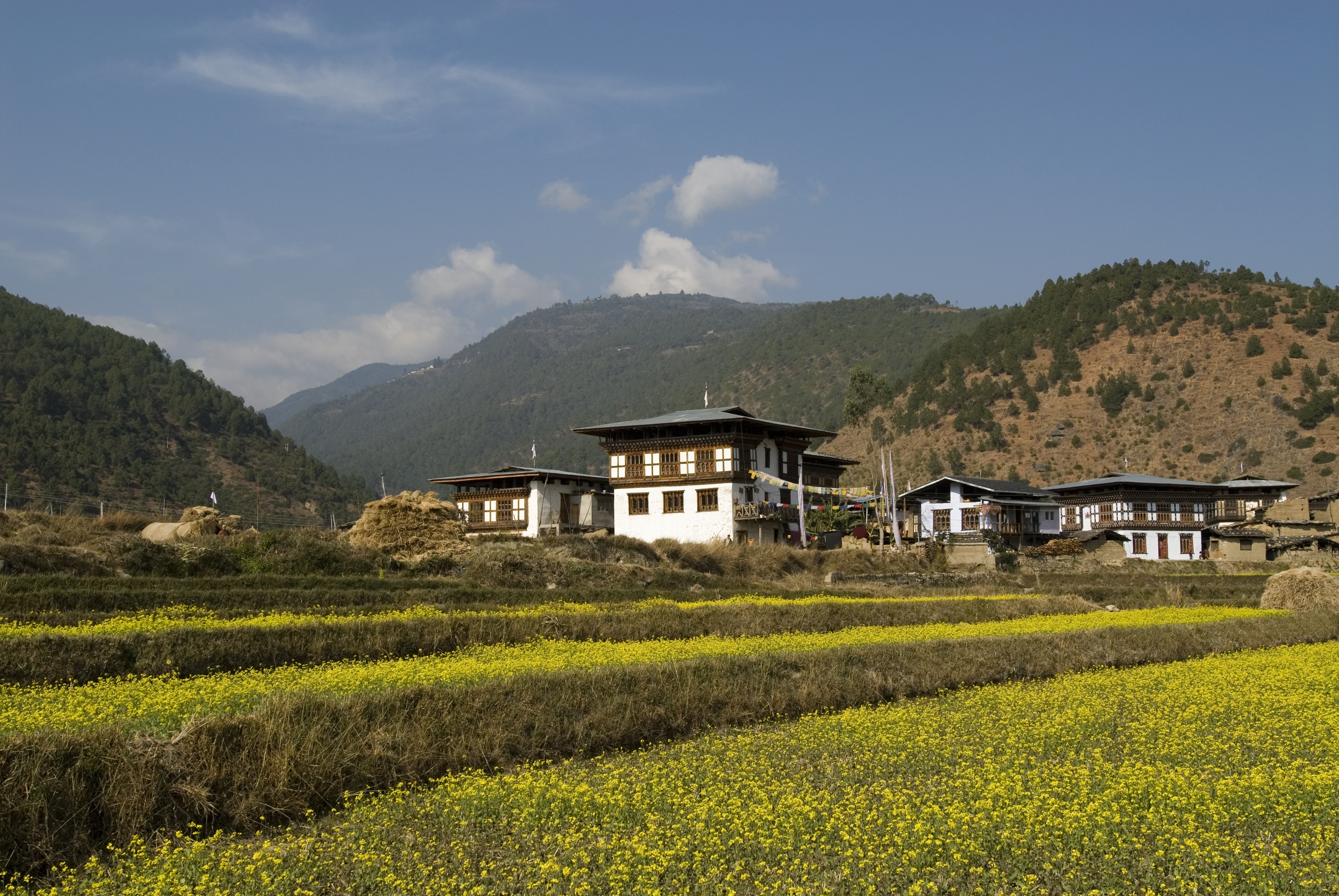 travel highlights in bhutan