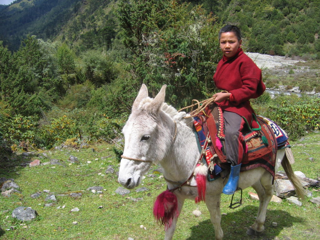 Miksateng to Sakteng. Approx 12 km, 5 hours, 81m ascend, 310 m descend.