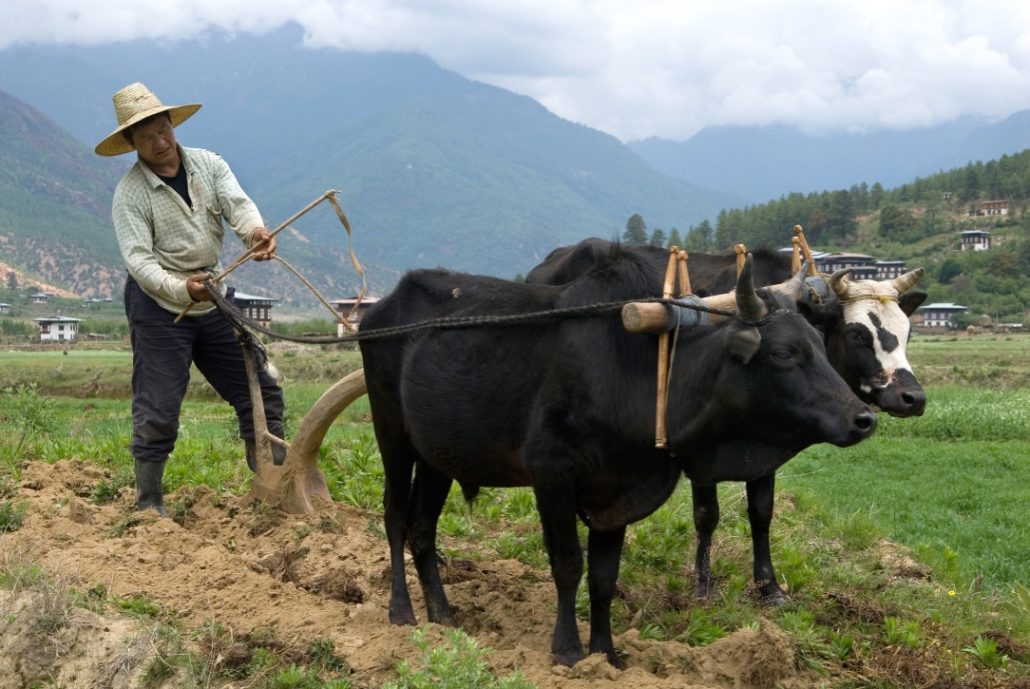 Paro to Haa valley for Community-based toursim experience