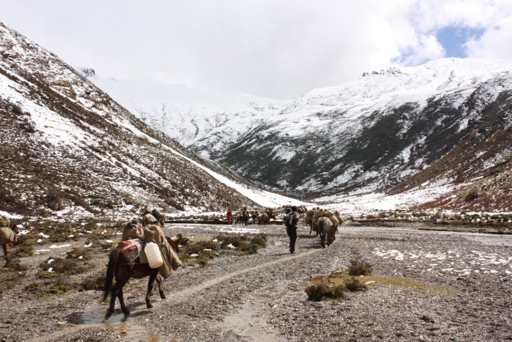 Lemithang – Laya. 3800m, Duration 4-5 hours, Distance 10 Km