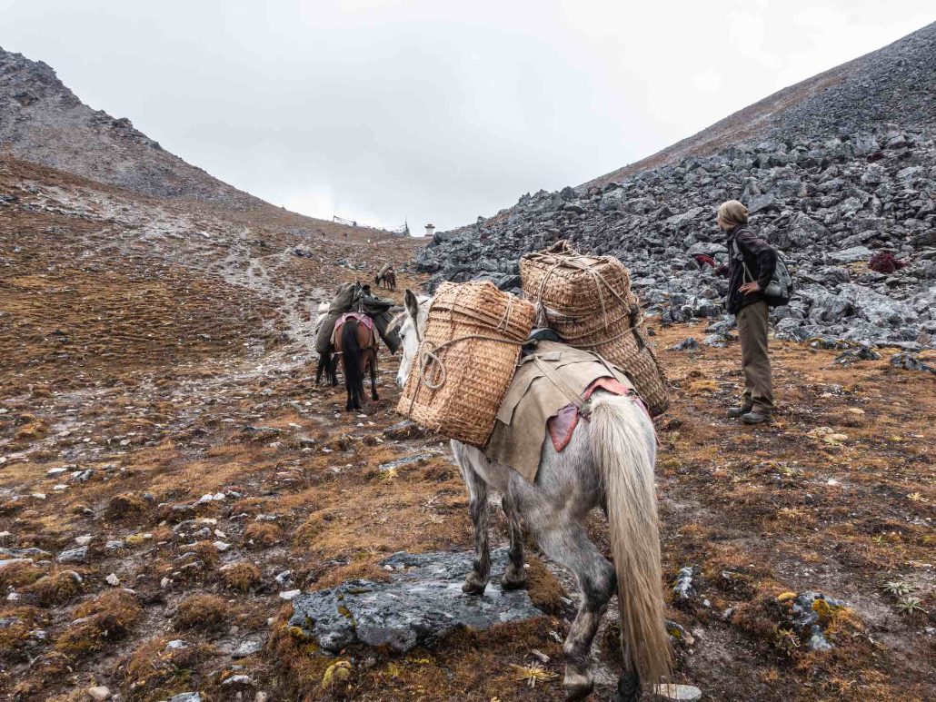 Jangothang – Lingshi, 4000m, Duration 6-7 hours, Distance 18 Km